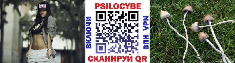 Галлюциногенные грибы мухоморы  Козловка 